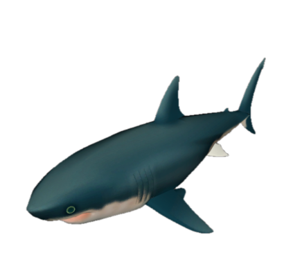Fish 13