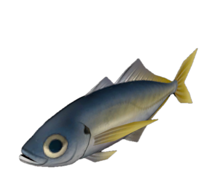 Fish 14