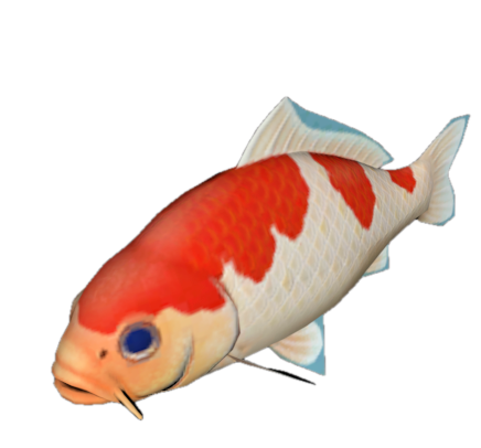 Fish 15
