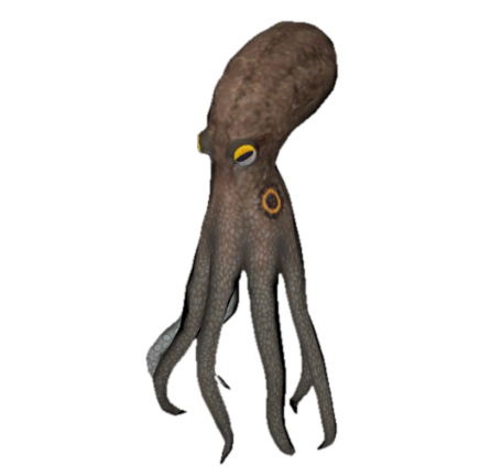 Fish 19