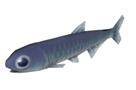 Fish 2
