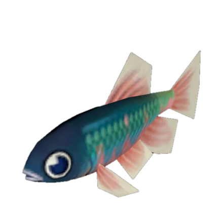 Fish 20