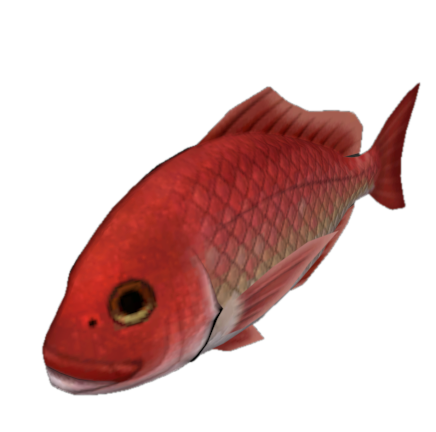 Fish 22