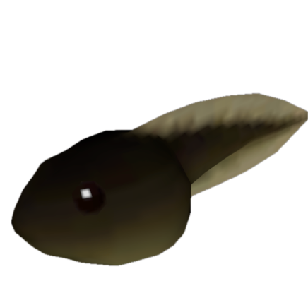 Fish 27