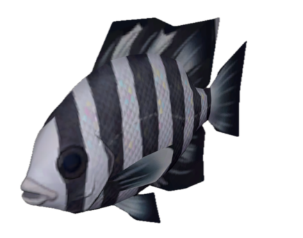 Fish 3