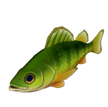 Fish 8