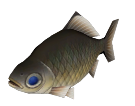 Fish 9